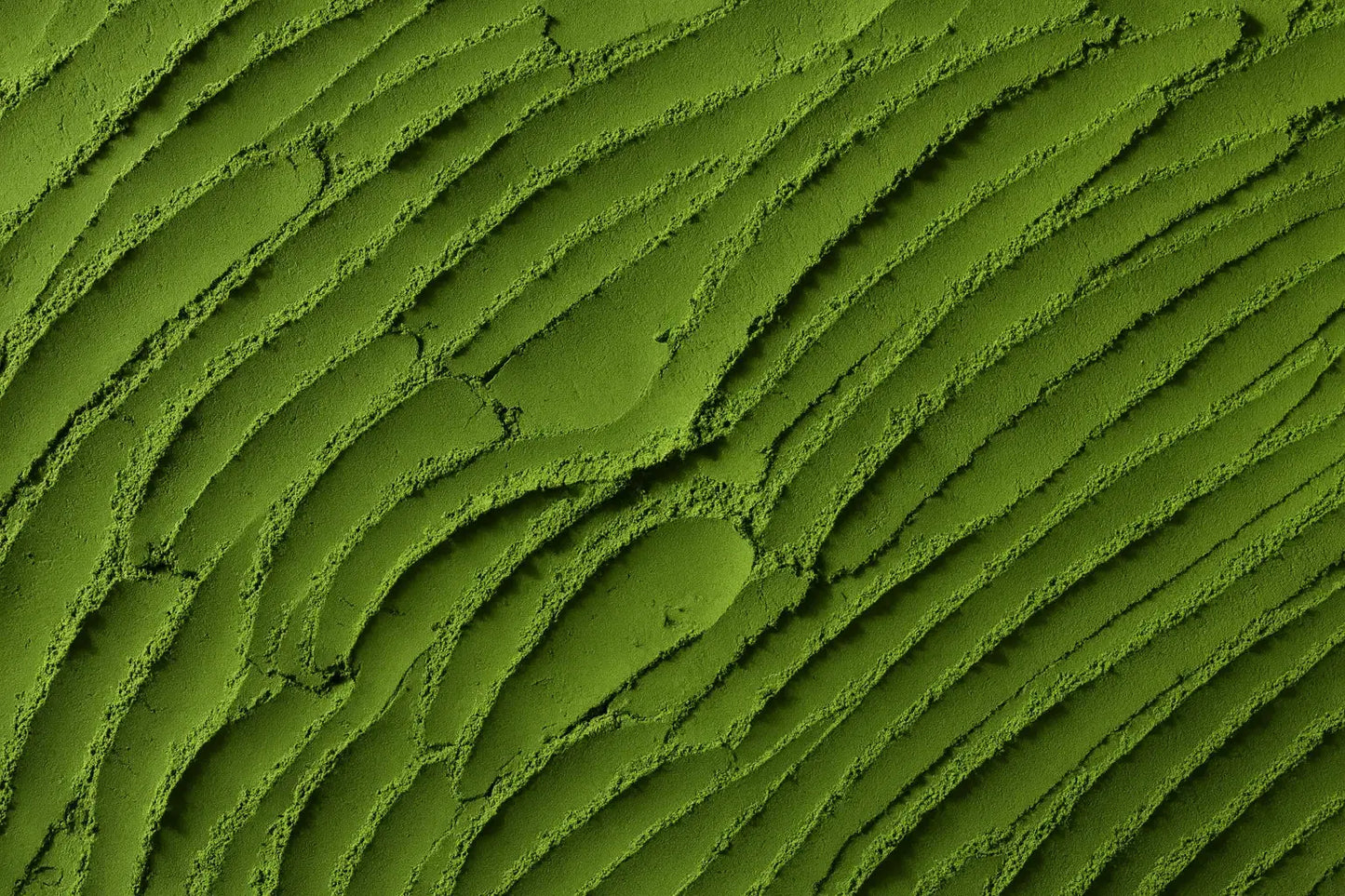 Moringa Vorteile – das grüne Blatt des Lebens aus Wildwuchs - Imanitu