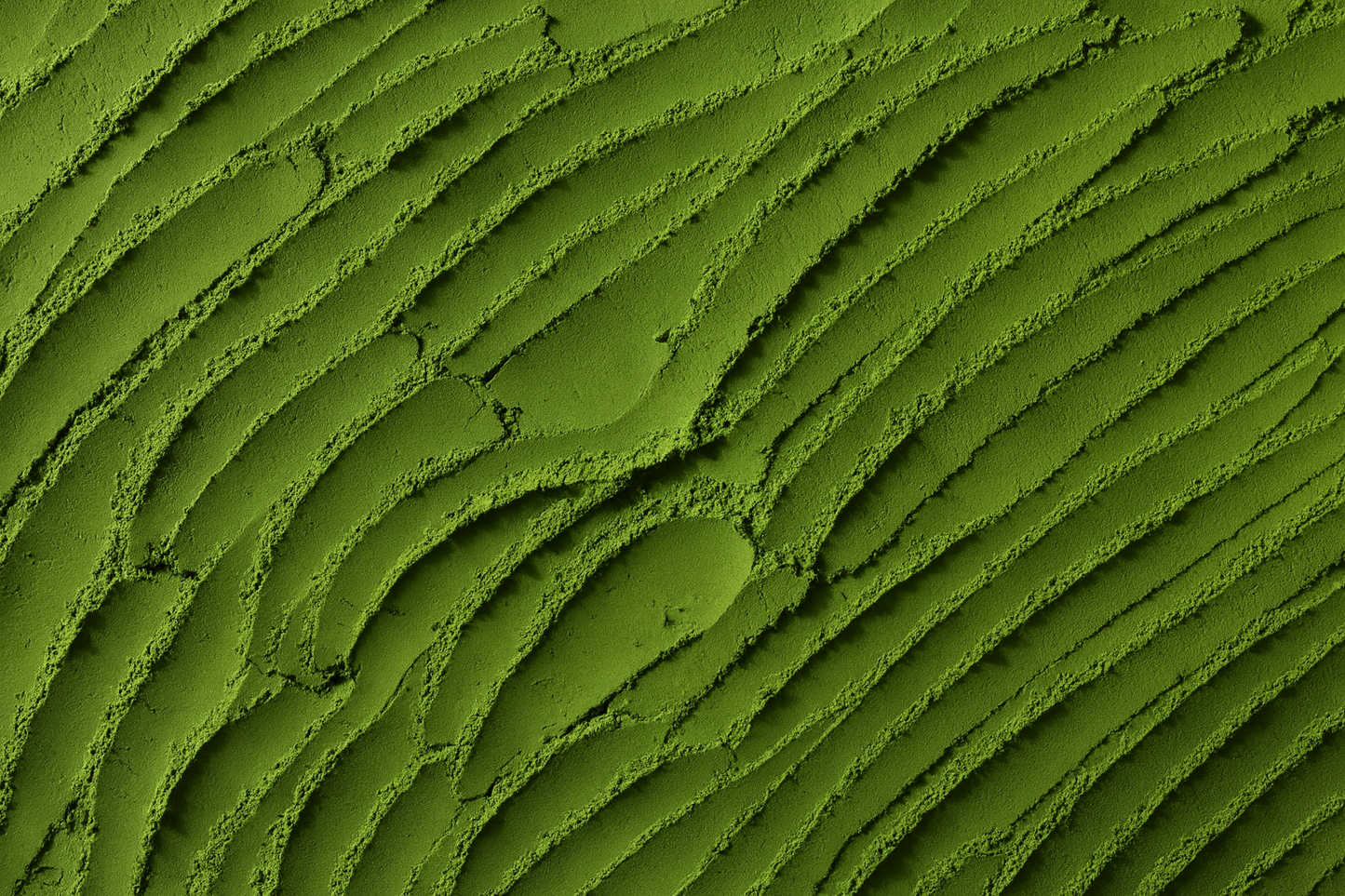 Moringa Vorteile – das grüne Blatt des Lebens aus Wildwuchs - Imanitu