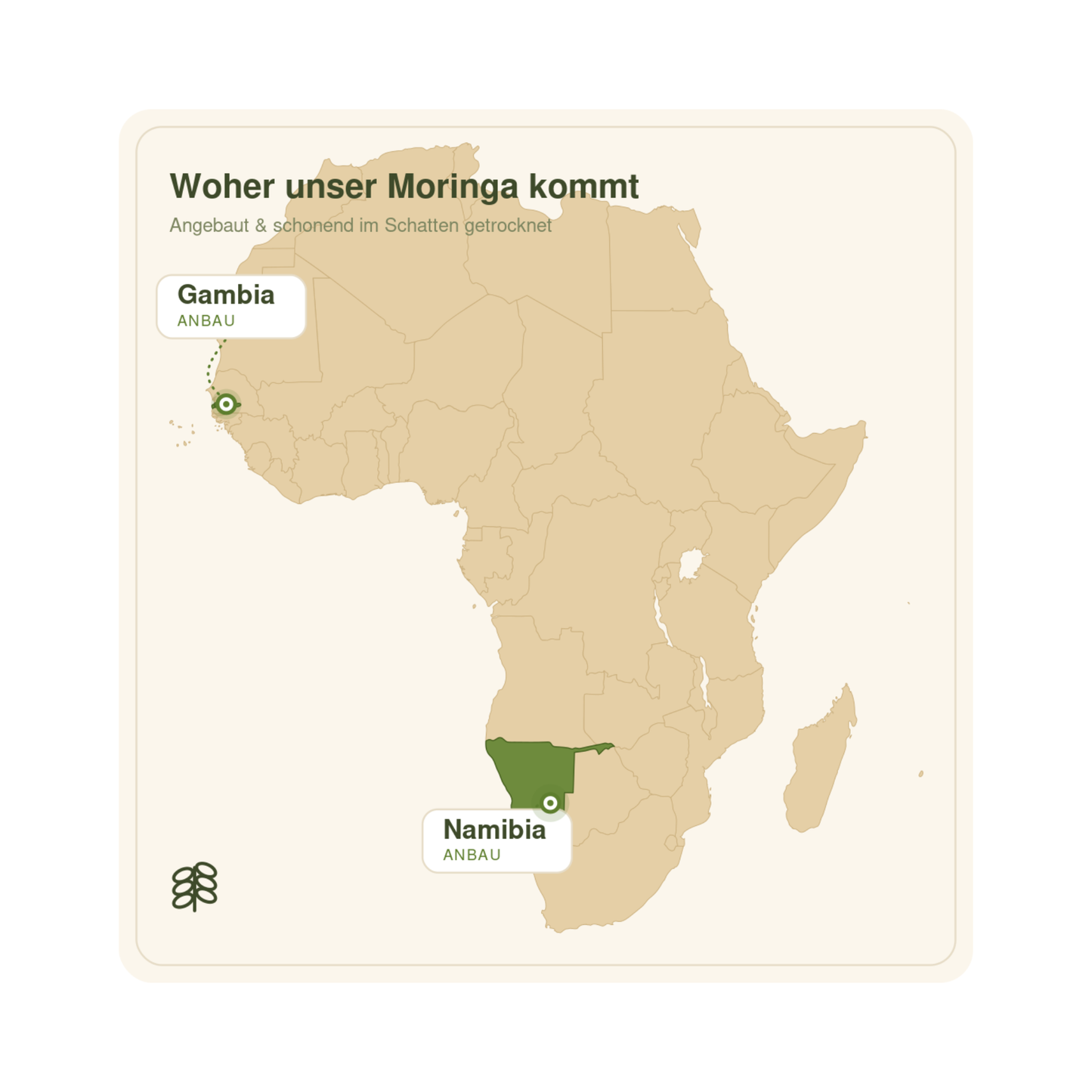 Herkunftskarte: Moringa aus sorgfältigem Anbau in Namibia und Gambia
